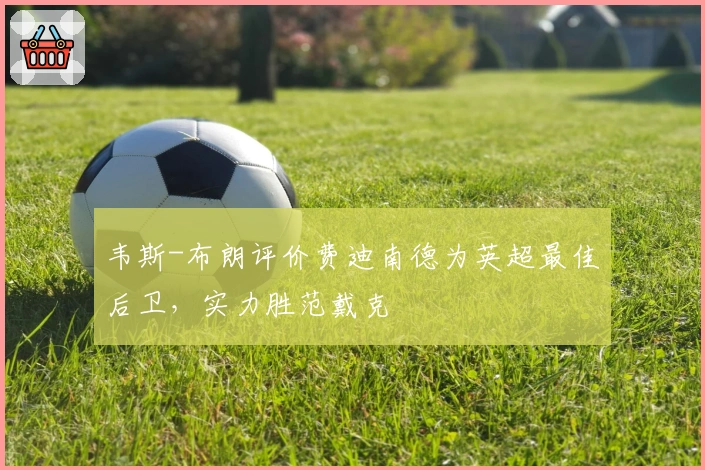 韦斯-布朗评价费迪南德为英超最佳后卫，实力胜范戴克