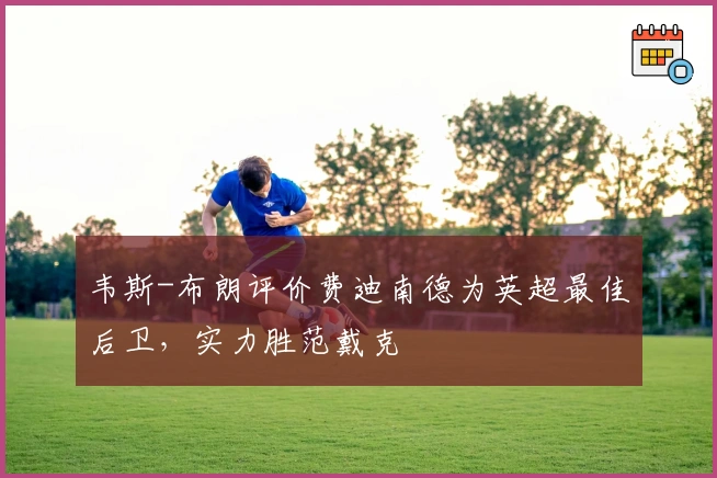 韦斯-布朗评价费迪南德为英超最佳后卫，实力胜范戴克