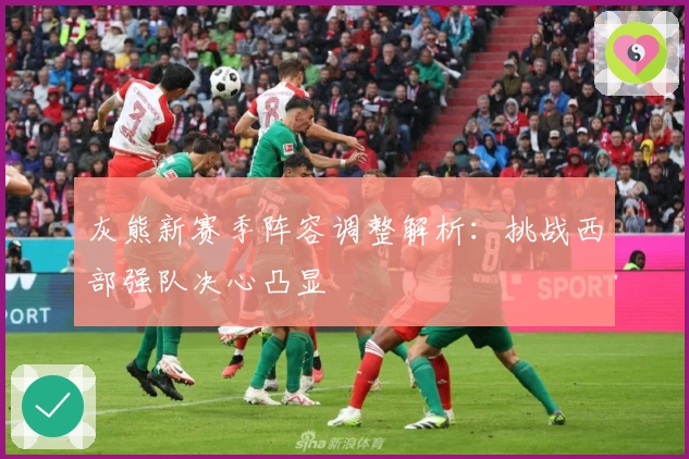 灰熊新赛季阵容调整解析：挑战西部强队决心凸显